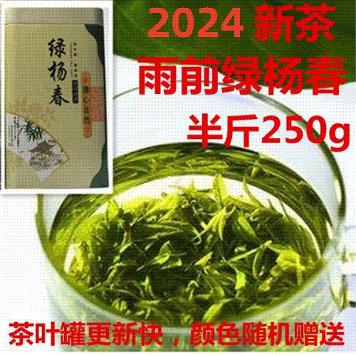 绿杨春 2024年新茶 雨前捺山绿阳扬春茶叶   绿茶 礼盒250g