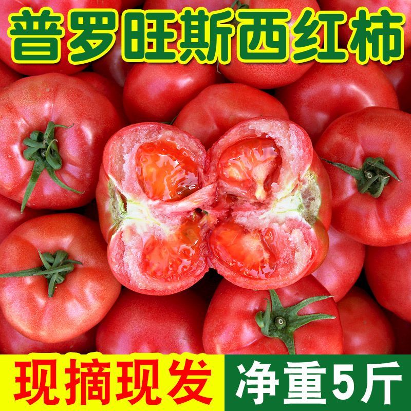 山东自然熟沙瓤普罗旺斯西红柿大番茄新鲜蔬菜生吃洋柿子整箱5斤