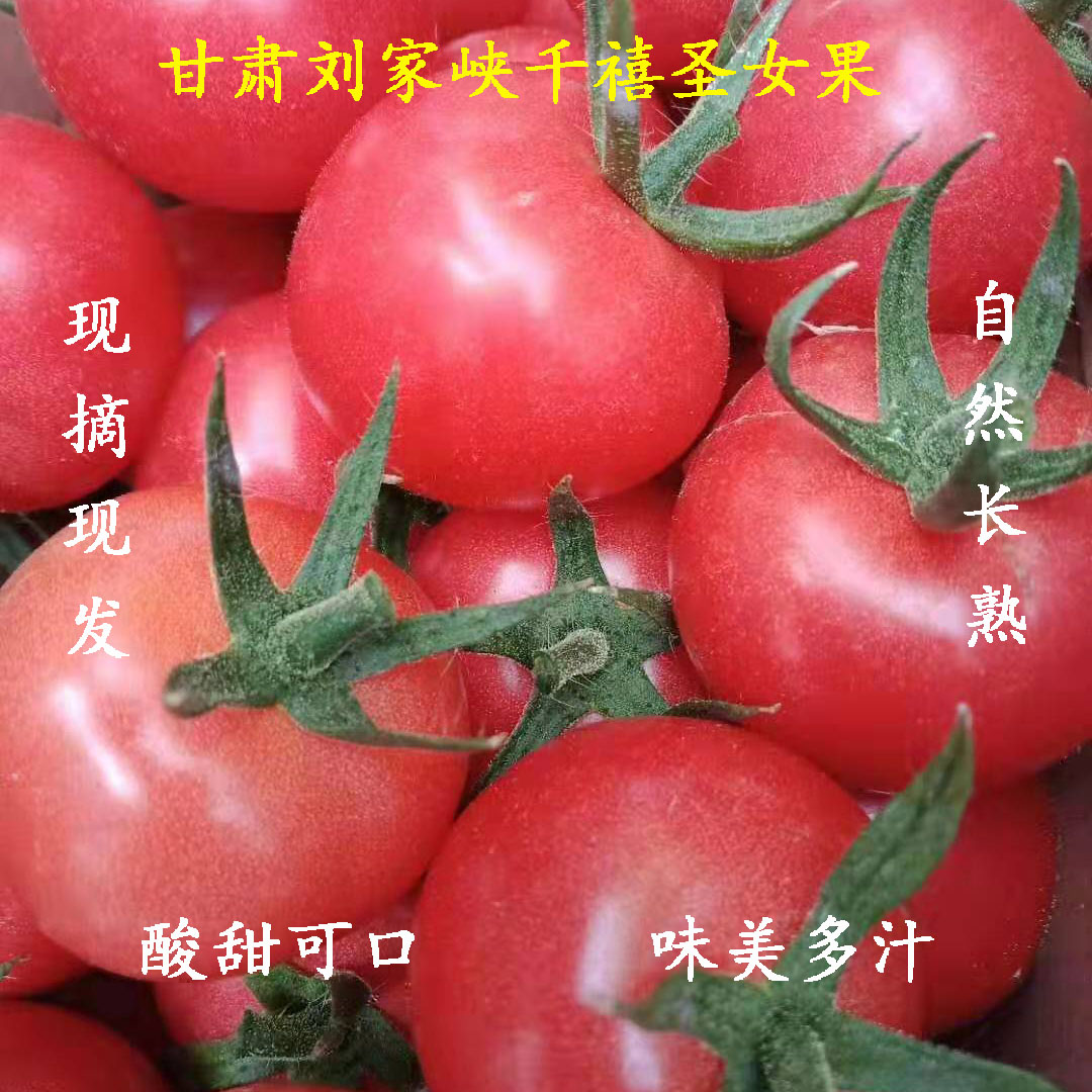 甘肃刘家峡自然熟新鲜圆圣女果千禧樱桃小番茄水果农家西红柿4斤