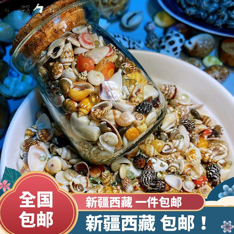 新疆西藏包邮【新店亏本冲销量】6种超小贝壳海螺+玻璃沙组合约40