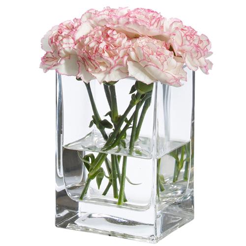 简约小花瓶玻璃方形桌面摆放透明插花瓶欧式方口小鱼缸家居饰品