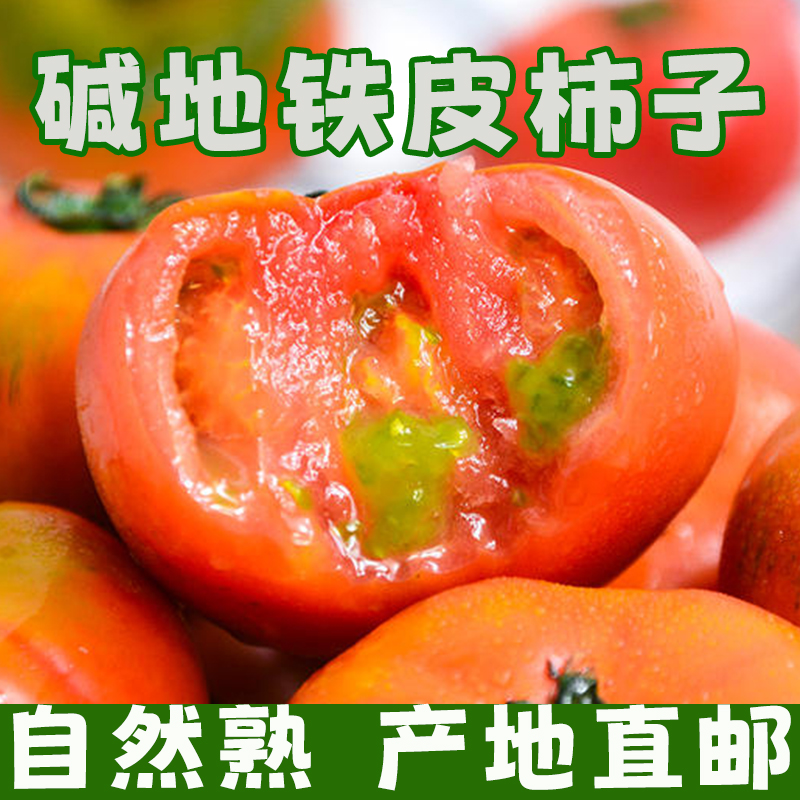 东北铁皮草莓柿子自然熟蕃茄碱地新鲜水果西红柿绿腚即食番茄蔬菜