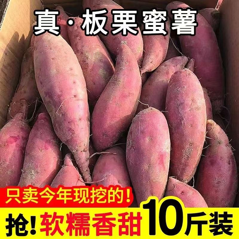 【抢购中】超甜沙地红薯新鲜红蜜薯板栗薯地瓜1/10斤番薯蔬菜