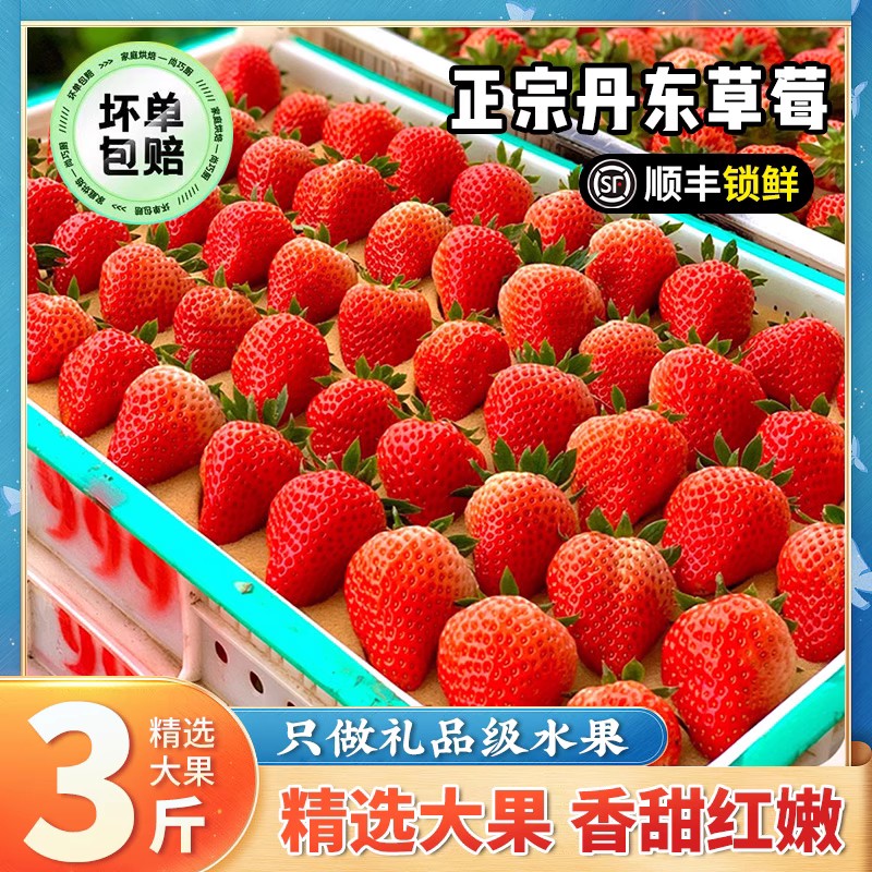 【3斤装】丹东99草莓新鲜水果九九红颜牛奶油大草莓礼盒香甜顺丰