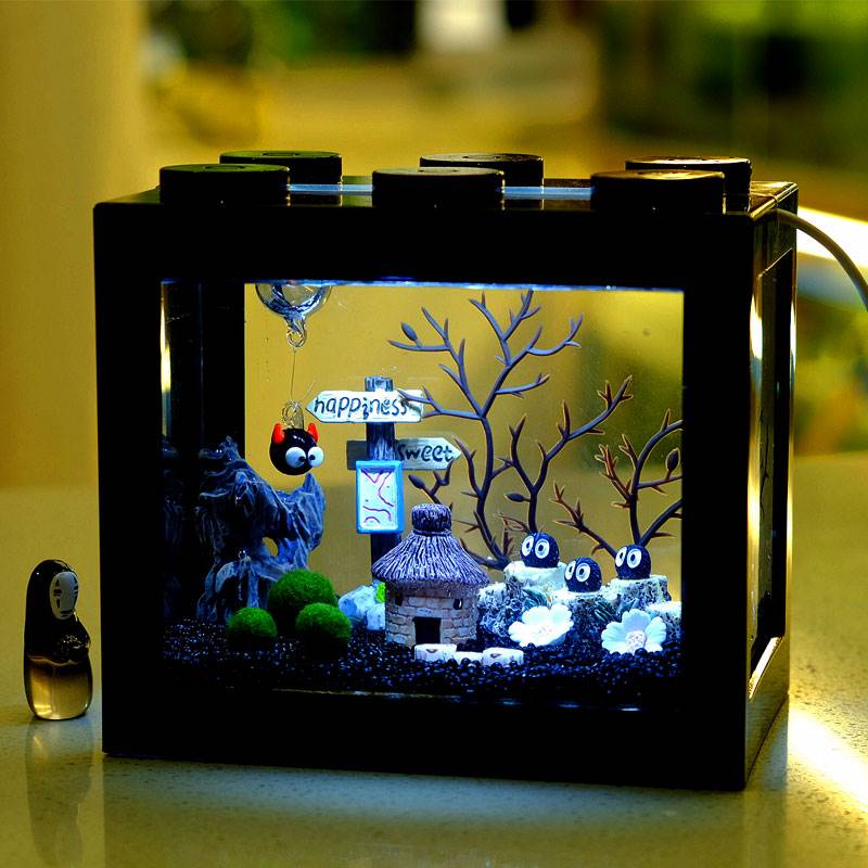 奇妙小屋海e藻球微景观生态缸鱼缸桌面迷你水培植物小盆栽创意礼