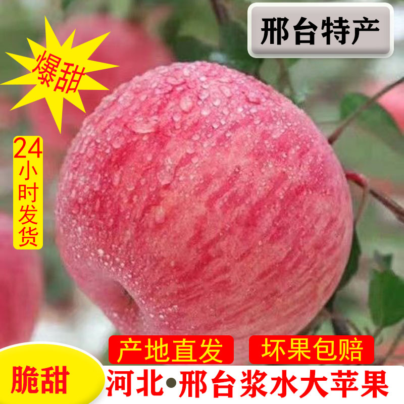新鲜现摘浆水红富士苹果河北邢台特产当季农家水果10斤整箱包邮