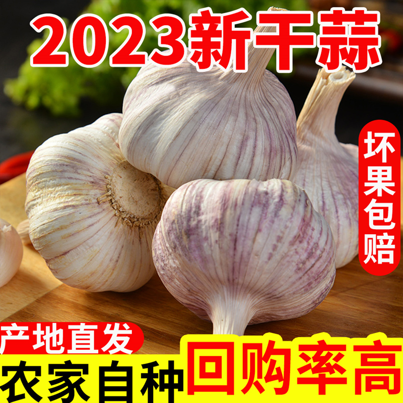 【产地直销】农家大蒜头干蒜5斤紫白皮新干蒜种籽新鲜蔬菜1斤/9斤