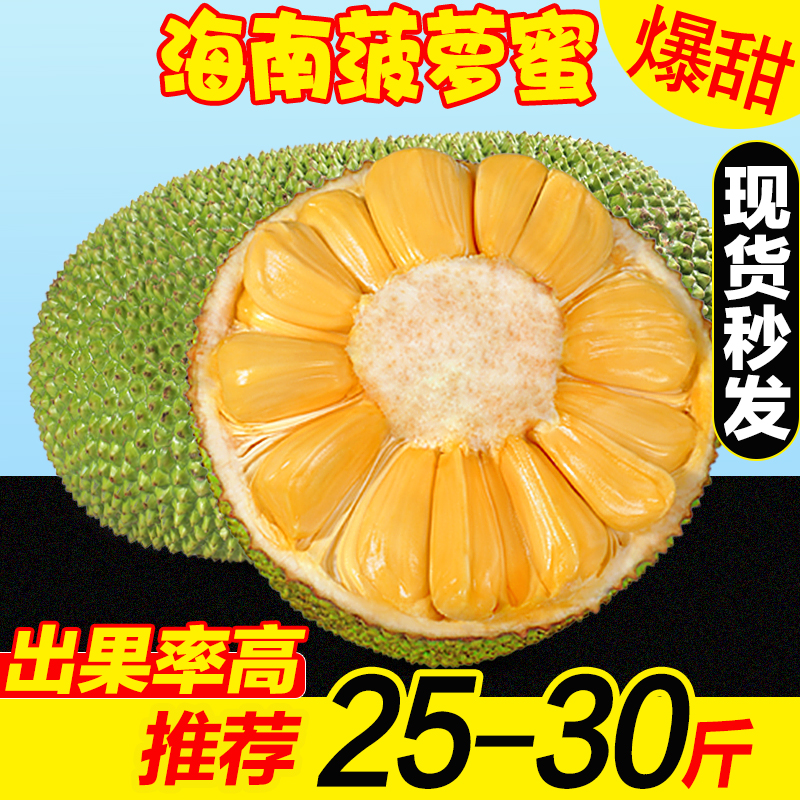 海南当季三亚黄肉菠萝蜜20斤一整个大树木菠萝新鲜热带水果包邮红