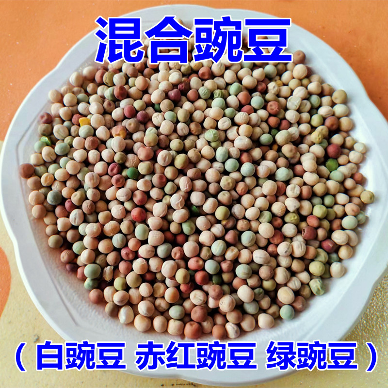 20斤10斤5斤豌豆鸽子饲料豆类鸽粮豌豆混合花豌豆高蛋白信鸽饲料