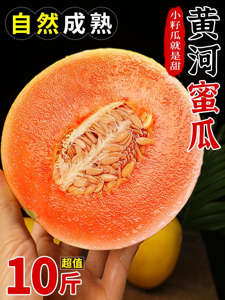 黄河蜜瓜甜瓜10斤装新鲜水果当季哈密瓜红金宝脆甜羊角小香瓜整箱