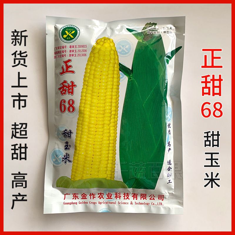 广东农科院正甜68超甜水果玉米种孑特大高产玉米种子甜玉米种籽子