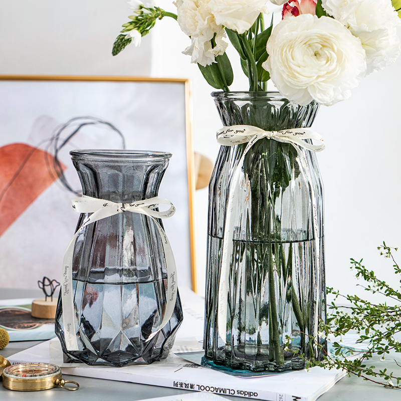【2件套】创意玻璃花瓶透明水养富贵竹干鲜花插花瓶客厅装饰摆件