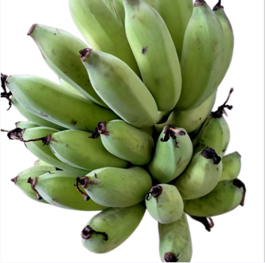 广东南焦粉蕉小米蕉新鲜采摘5斤包邮banana老人小孩孕妇水果