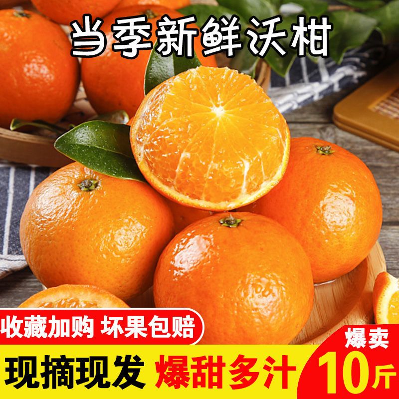正宗广西武鸣沃柑现摘现寄9斤新鲜水果应季广西沃柑孕妇柑橘子