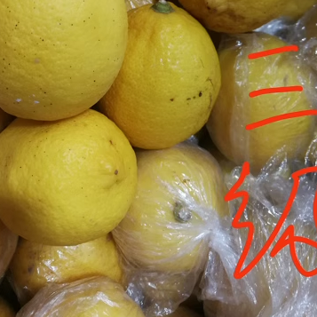 龙祥“好意头”品牌柠檬 二三级果 净重9斤与5斤装包邮