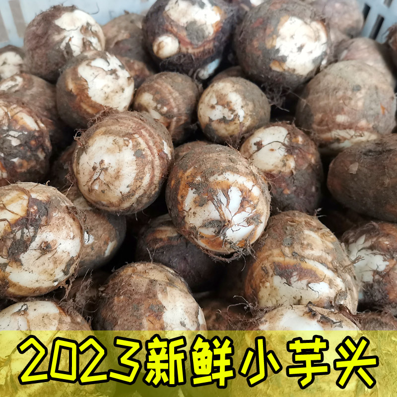 2023江西芋头新鲜小芋头仔农家蔬菜现挖毛芋滑糯白芽芋艿芋子5斤