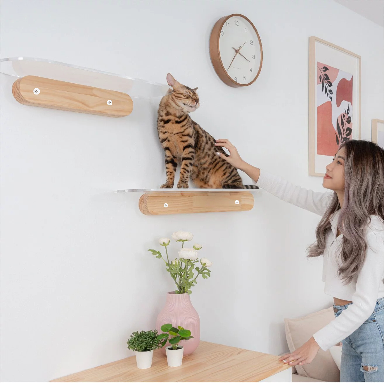 日式壁挂式猫跳台猫爬架亚克力跳台墙壁猫窝易安装木质猫墙猫树