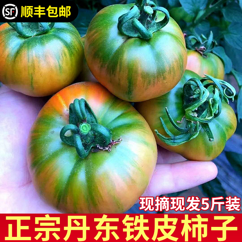 草莓西红柿丹东草莓番茄柿子铁柿子绿腚柿子油柿子3/5斤顺丰包邮