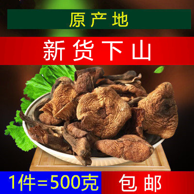 小鸡炖蘑菇 东北特产野生榛蘑菇干 农家蘑菇山货500克1斤包邮针磨