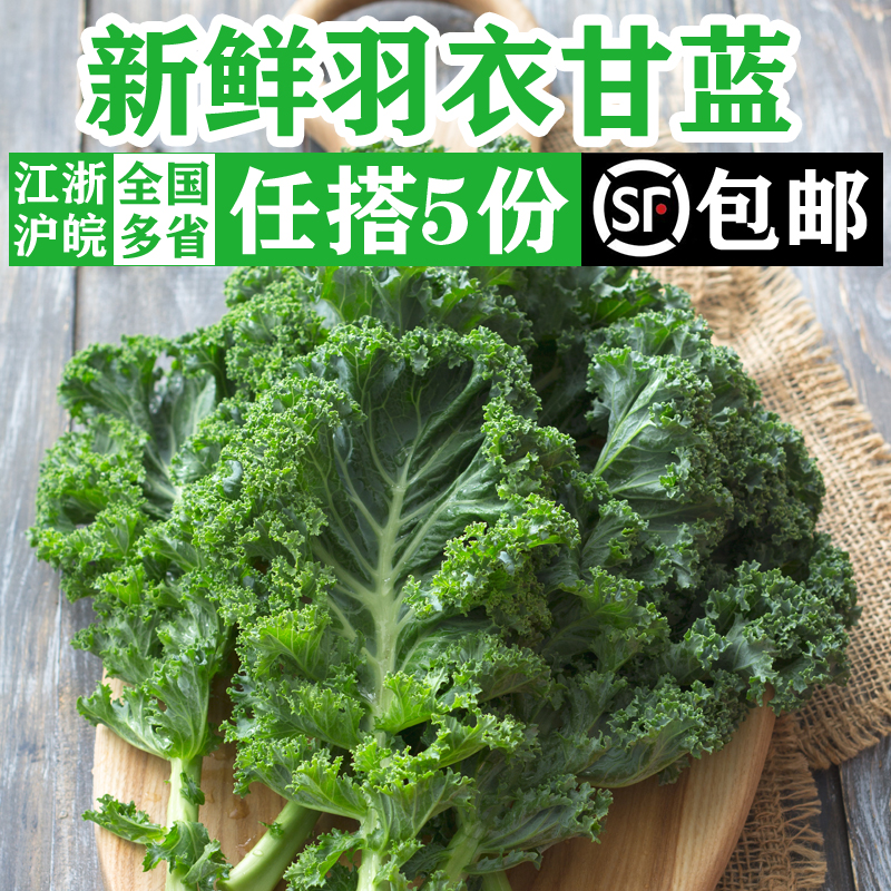 新鲜羽衣甘蓝500g 嫩叶甘兰kale健身榨汁蔬菜沙拉食材西餐配菜