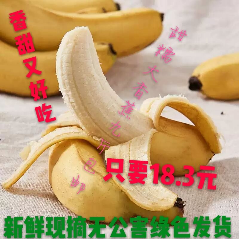 水果城现摘大香蕉无公害绿色新鲜九斤包邮非小米蕉芭蕉美人蕉粉蕉