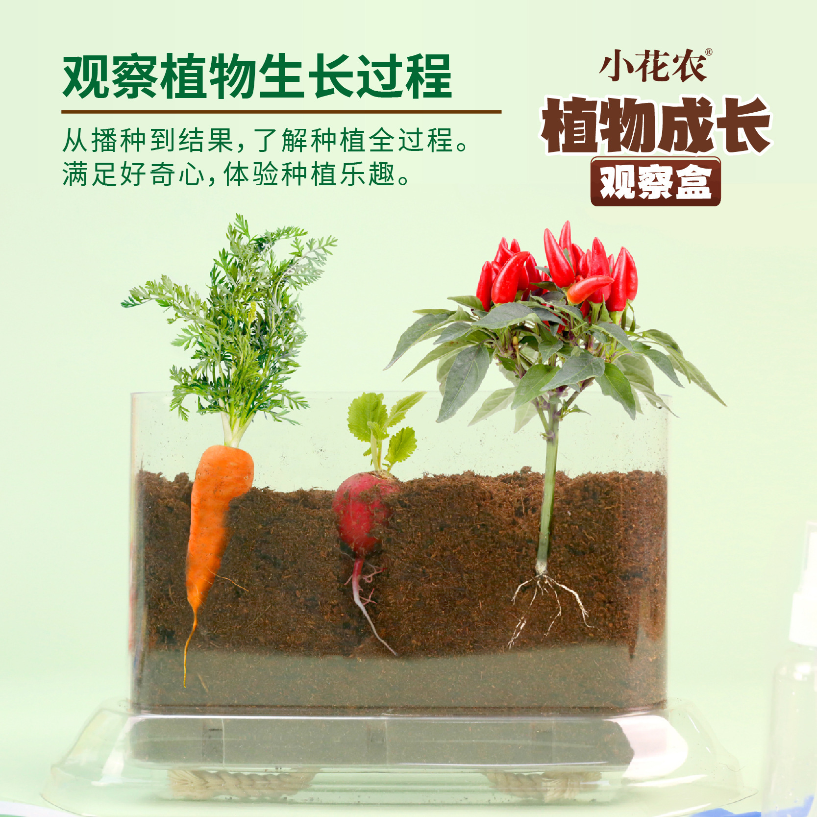 小花农匹诺植物成长观察盒儿童种植蔬果蔬菜科学实验套装益智玩具