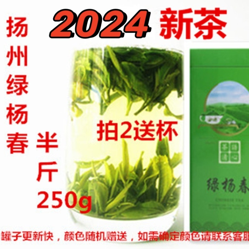绿杨春 2024新茶 仪征捺山绿阳春 扬州特产绿扬春茶叶250g