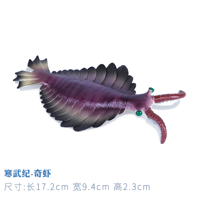 仿真远古海洋生物板足鲎三叶虫玩具奇虾模型头甲鱼海蝎儿童男礼物