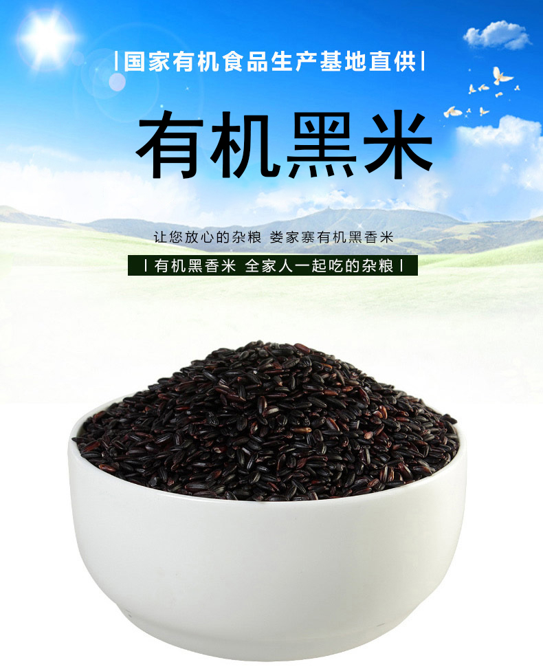 娄家寨东北黑龙江有机黑米500g杂粮煮粥黑色食品五谷杂粮基地自产