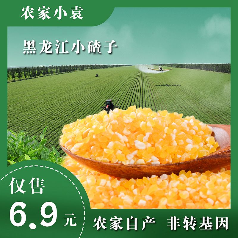黑龙江新小碴子500g东北玉米碴子1斤农家自种粗粮新鲜苞米碴子