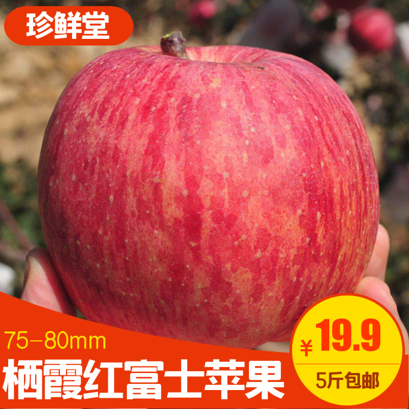 珍鲜堂 山东烟台栖霞红富士苹果5斤包邮脆甜当季新鲜10水果平果