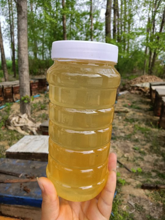 正品正宗野生深山土蜂蜜蜂天然农家自产百花蜜洋槐蜜500克瓶