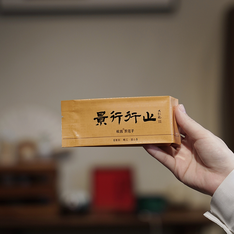 【新品】枞言茶范子 2023年武夷正岩大红袍一泡8.3克