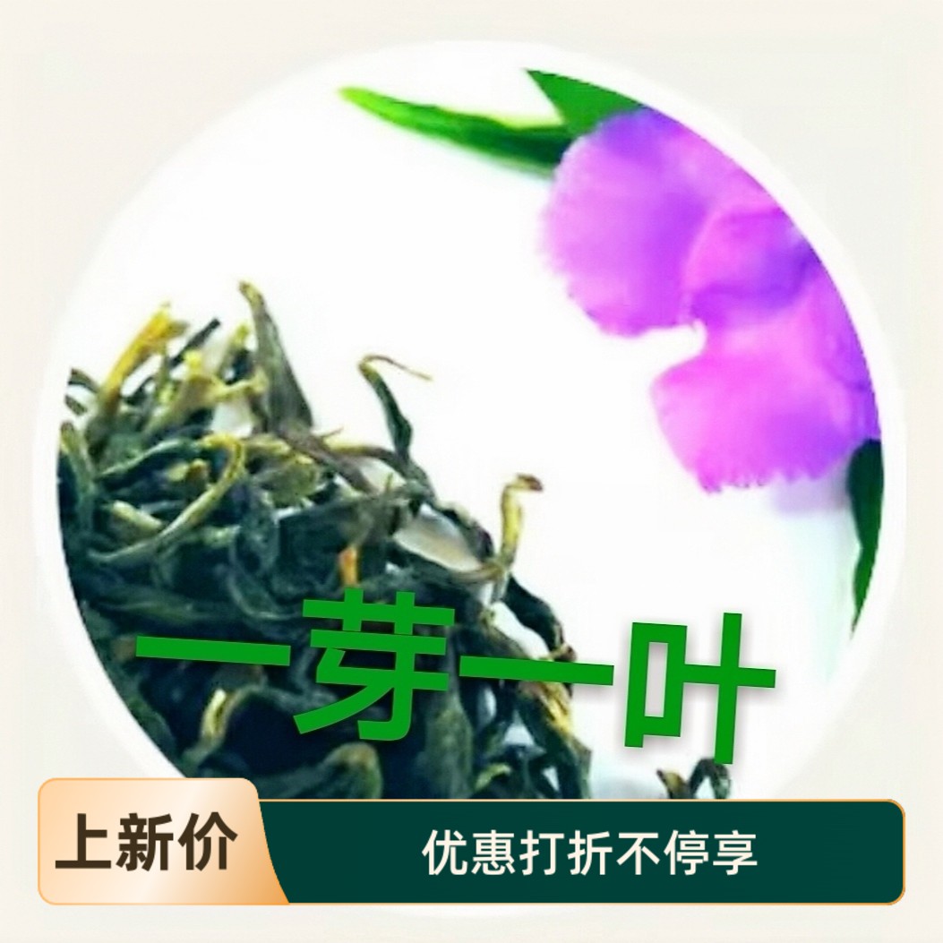 云南茶叶绿茶2023年新茶烘青茶一芽一叶茶叶滇绿特级袋装500g直销