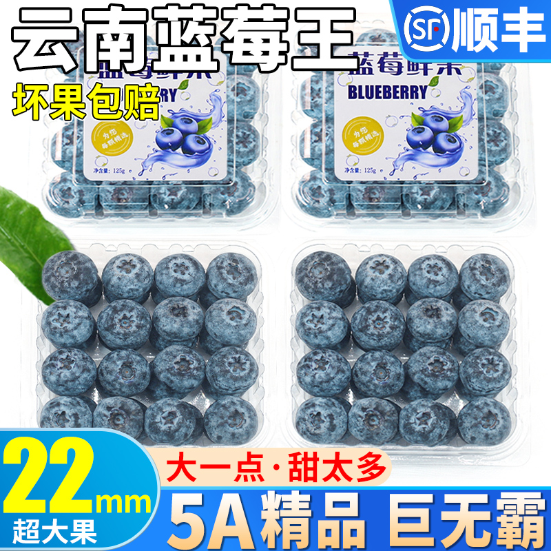 顺丰现货 10盒云南蓝莓鲜果新鲜水果当季高山怡颗现摘孕妇整箱甜9