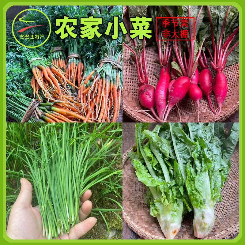 湘西新鲜菜农家自种农家肥 新鲜时令蔬菜 青菜农产品混搭共4斤