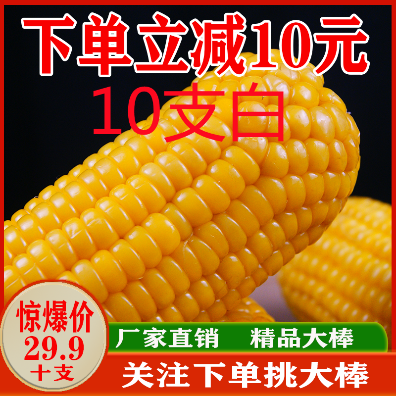 黑龙江2023即食新鲜真空玉米非转基因软糯香甜白粘玉米棒10支22