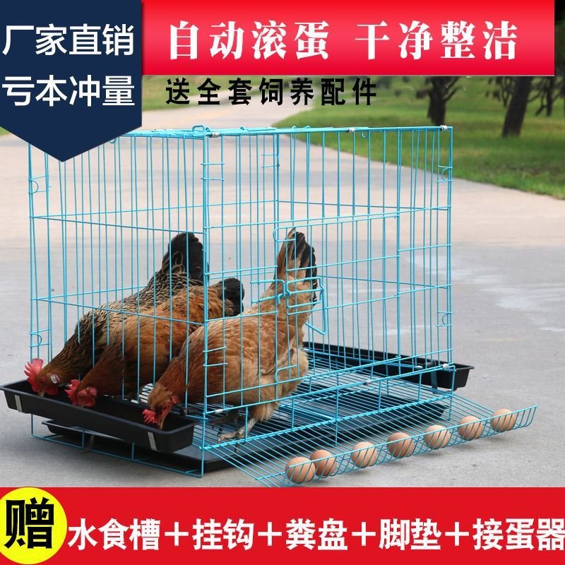 芦丁鸡专用养殖鸡笼自动出蛋滚蛋阳台无臭家用户外加密鸭鹅折叠