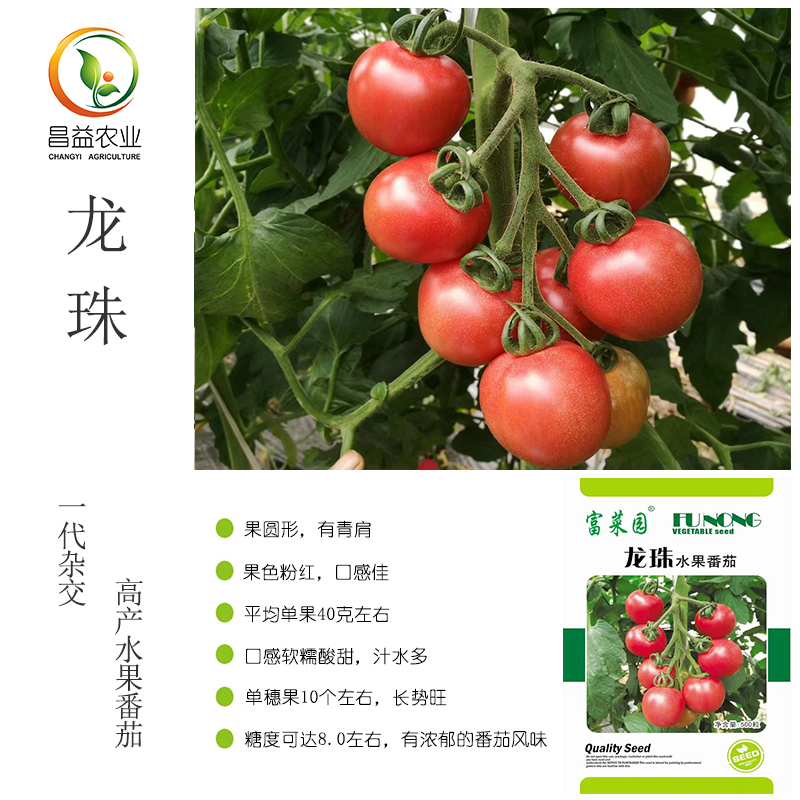 龙珠水果番茄种子富菜园酸甜果西红柿种子40克粉红色口感番茄种籽