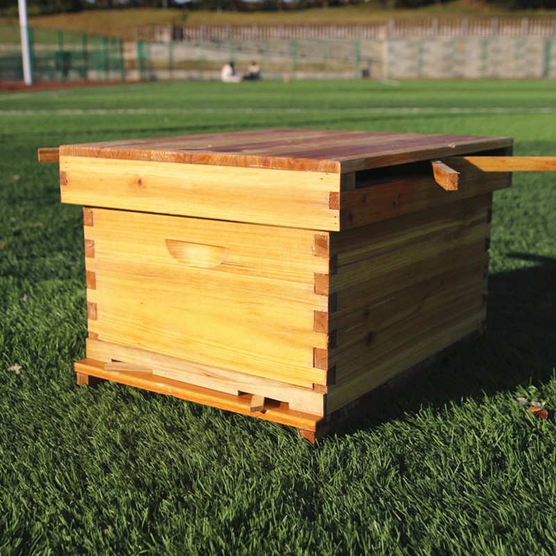 养蜂工具蜂箱中蜂杉木蜡煮蜂箱中蜂蜂箱意蜂蜂箱蜜蜂桶蜜蜂箱包邮