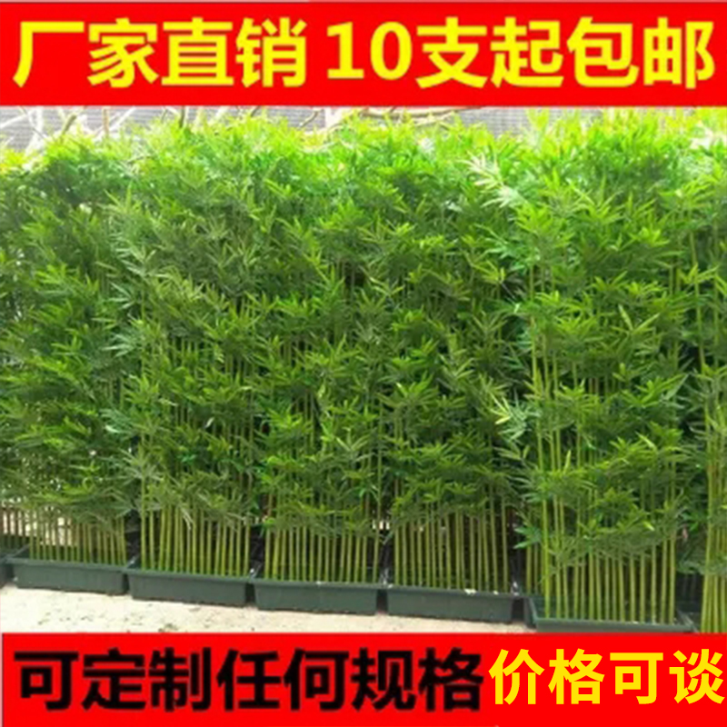 仿真竹子室内装饰加密塑料假竹子隔断屏风室外人造竹仿真植物造景