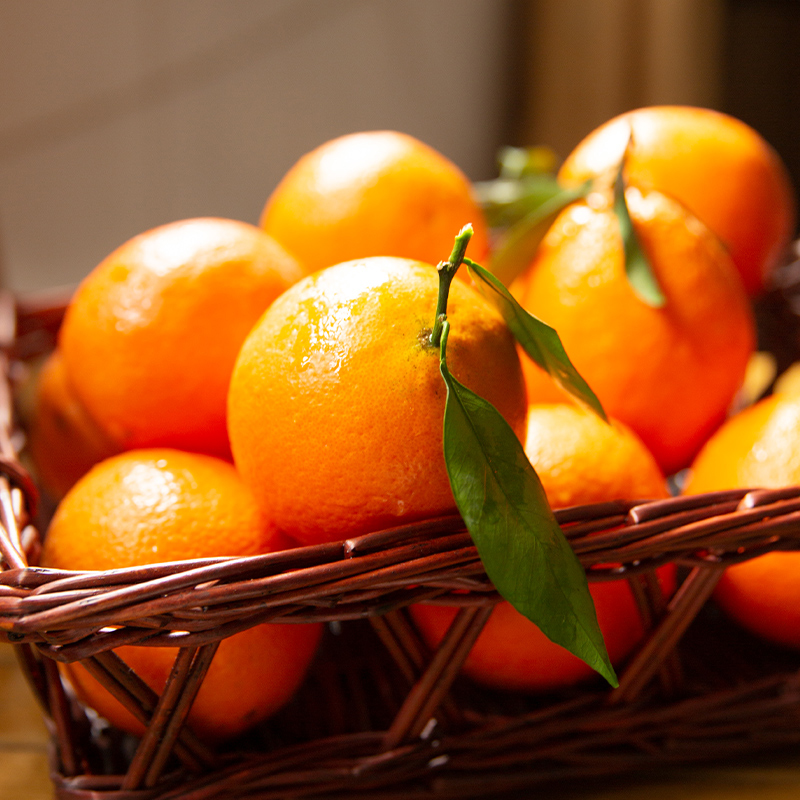 精选奉节脐橙原产地应当季新鲜水果多汁美味园地现摘整箱打包速发