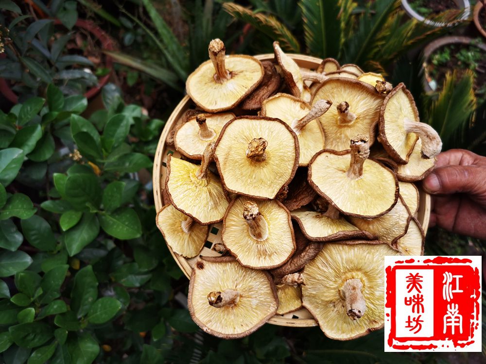 中国香菇城庆元高山薄高品质 香信菇 新货香菇 500G干货 一份包邮