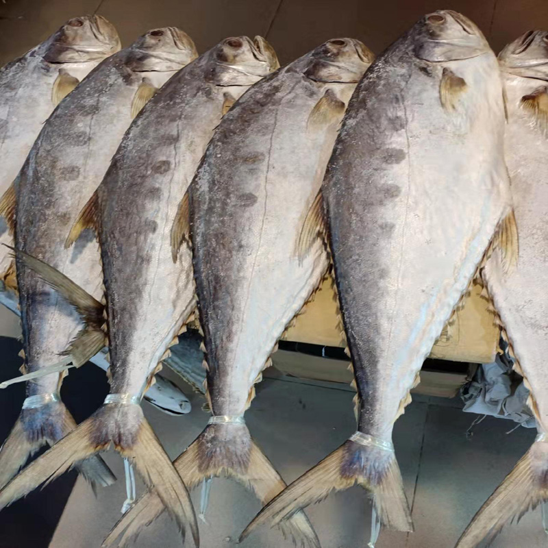 渔家自晒北海特产中大条马胶鱼鲅鱼马鲛咸鱼干货水产海鲜食品500g