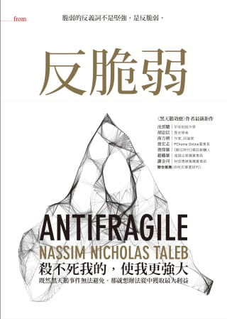 反脆弱 脆弱的反義詞不是堅強是反脆弱 塔雷伯Nassim Nicholas Taleb 羅耀宗译 大塊文化 台湾原版