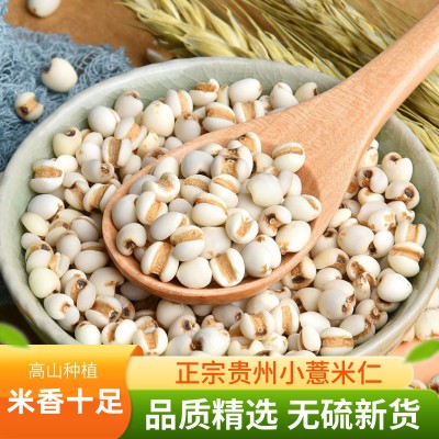 500g小薏米正宗贵州薏米仁兴仁薏仁米2023新米红豆薏米粥五谷杂粮