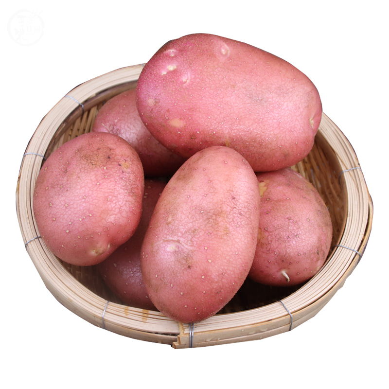 新鲜大土豆农家自种蔬菜云南红皮黄皮黄心土豆马铃薯洋芋9斤包邮