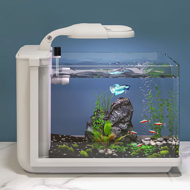 新疆包邮桌上水族箱子金鱼缸高清玻璃小鱼缸款带水泵LED变色水缸