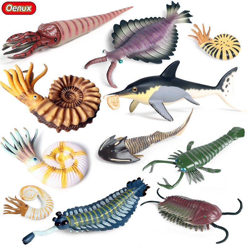 儿童玩具仿真海洋动物模型寒武纪远古生物大奇虾鹦鹉螺三叶虫套装