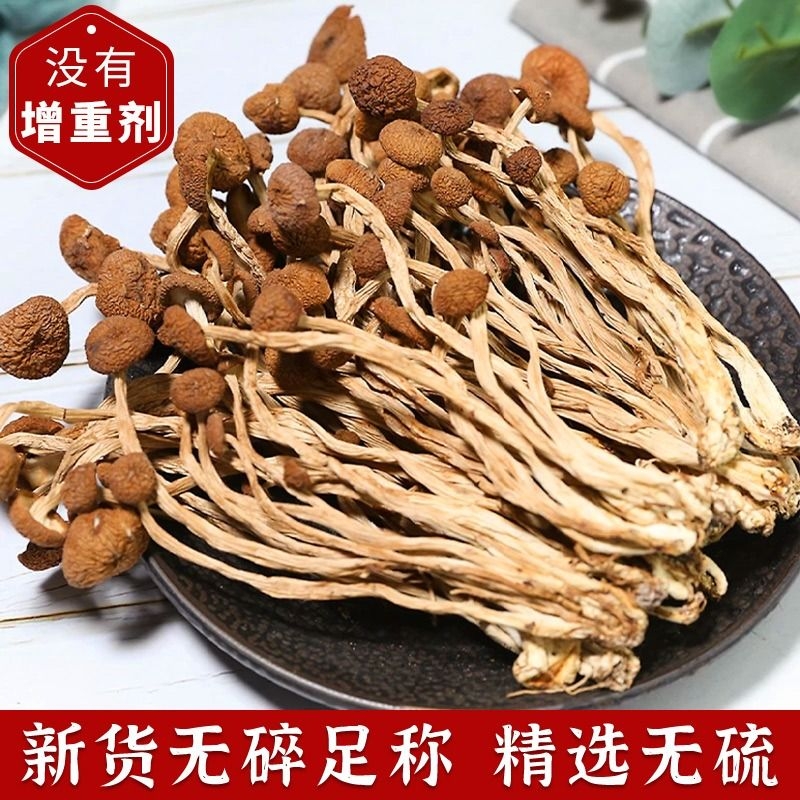 古田500g农家茶树菇干货特产新鲜茶薪菇香菇蘑菇金针菇俏营养精品